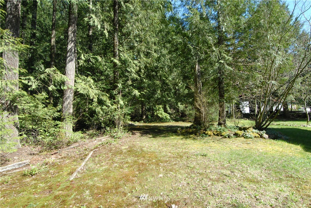 45733 Southeast Mt Si Road North Bend, WA 98045 - Photo 19 of 25 Gallery Image 19