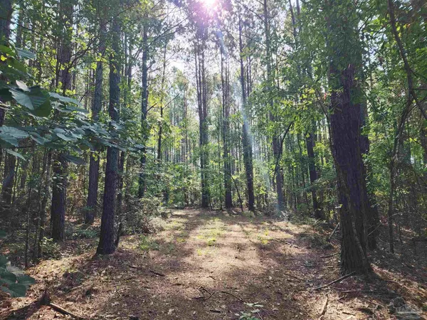 $42,500 | 0 Lowery Road, Unit LOT #11, Atmore, AL 36502