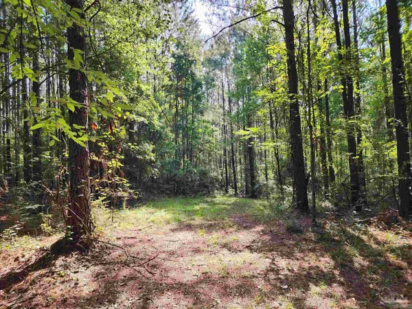 $42,500 | 0 Lowery Road, Unit LOT #11, Atmore, AL 36502
