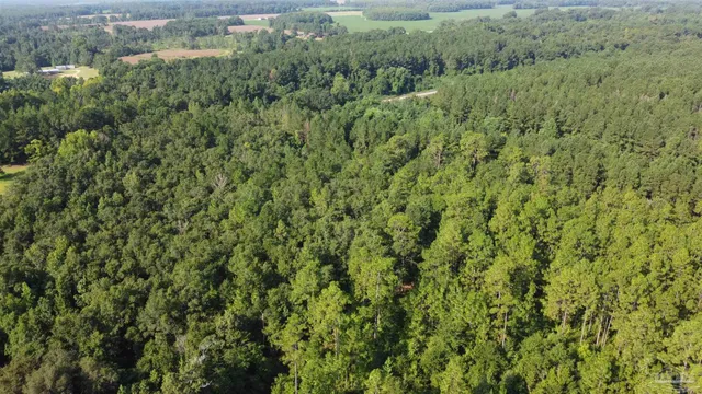 a view of a large yard with lots of green space