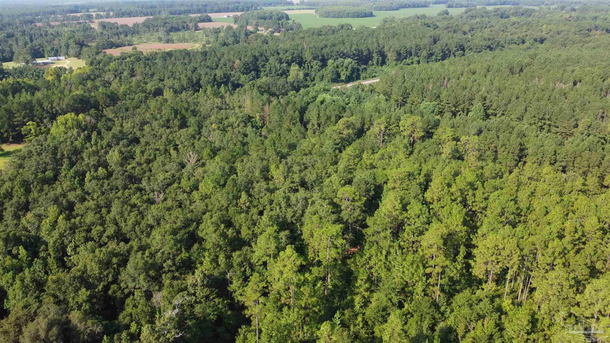 0 Lowery Road, Unit LOT #11 Atmore, AL 36502 - Photo 22 of 28 a view of a large yard with lots of green space