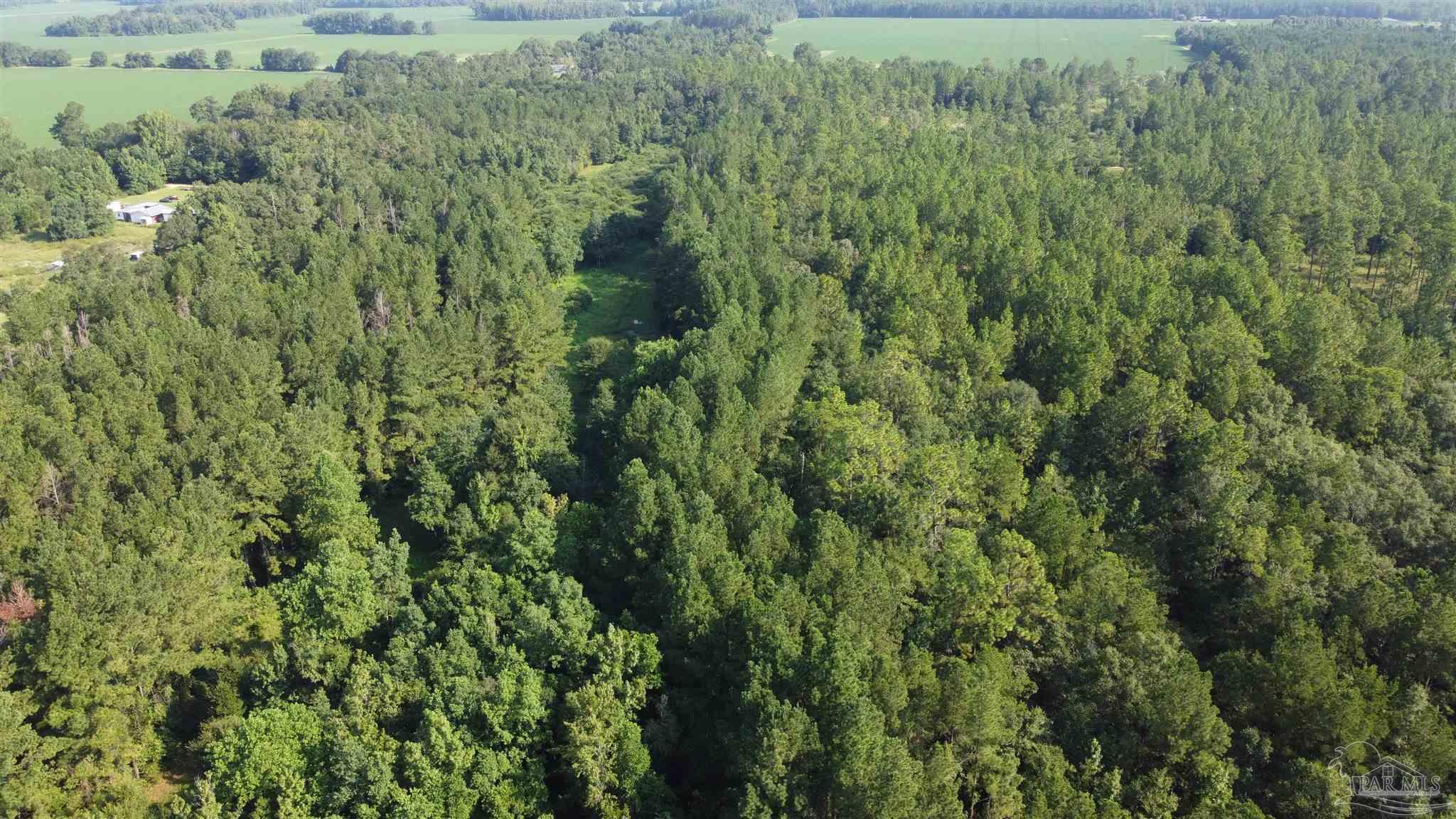0 Lowery Road, Unit LOT #11 Atmore, AL 36502 - Photo 24 of 28 a view of a lots of trees and bushes