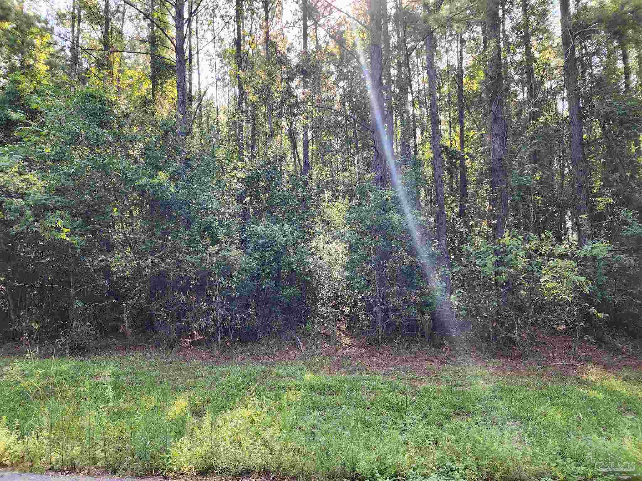 0 Lowery Road, Unit LOT #11 Atmore, AL 36502 - Photo 28 of 28 a view of a forest with trees