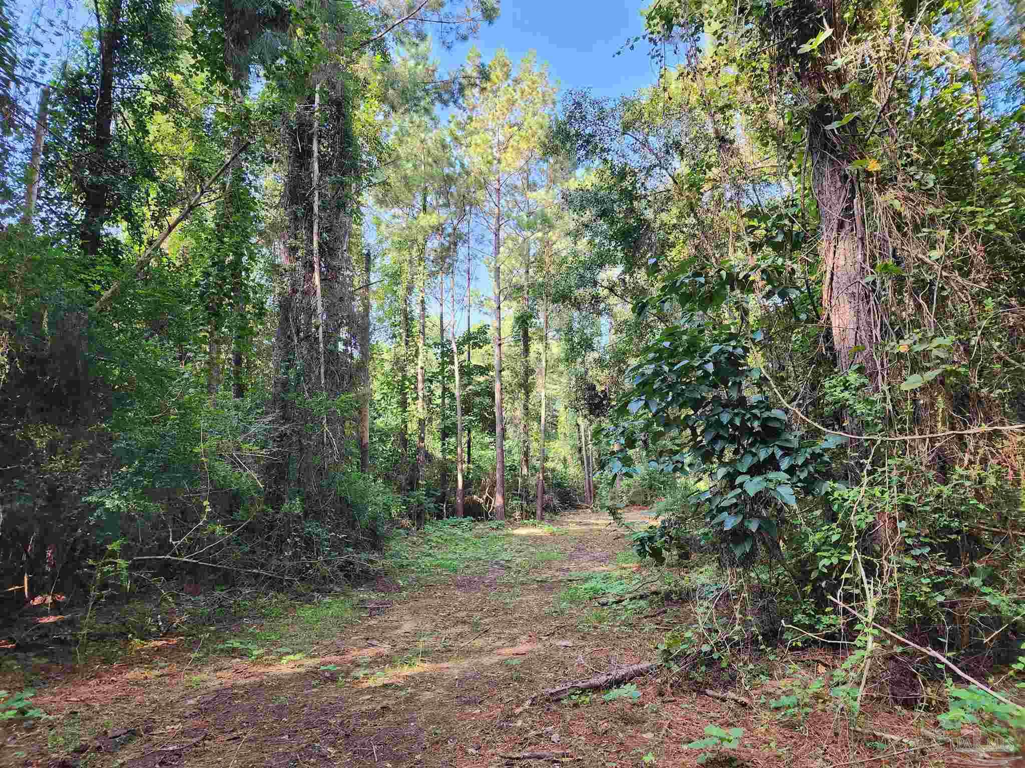 0 Lowery Road, Unit LOT #11 Atmore, AL 36502 - Photo 7 of 28 a view of forest