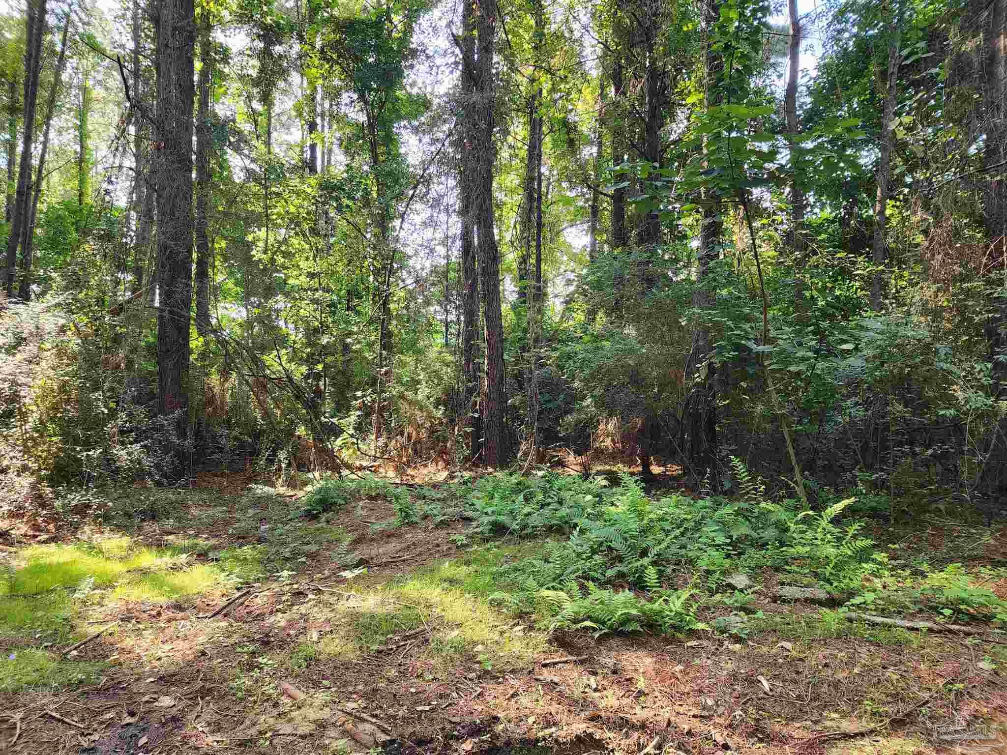 0 Lowery Road, Unit LOT #11 Atmore, AL 36502 - Photo 8 of 28 a backyard of a house with lots of green space