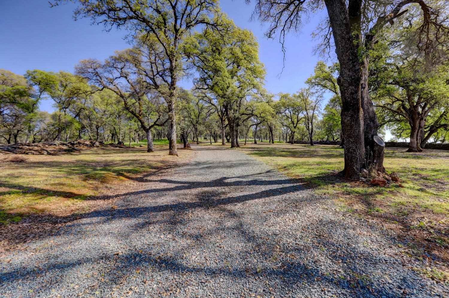 19890 Perimeter Road Grass Valley, CA 95949 - Photo 79 of 95