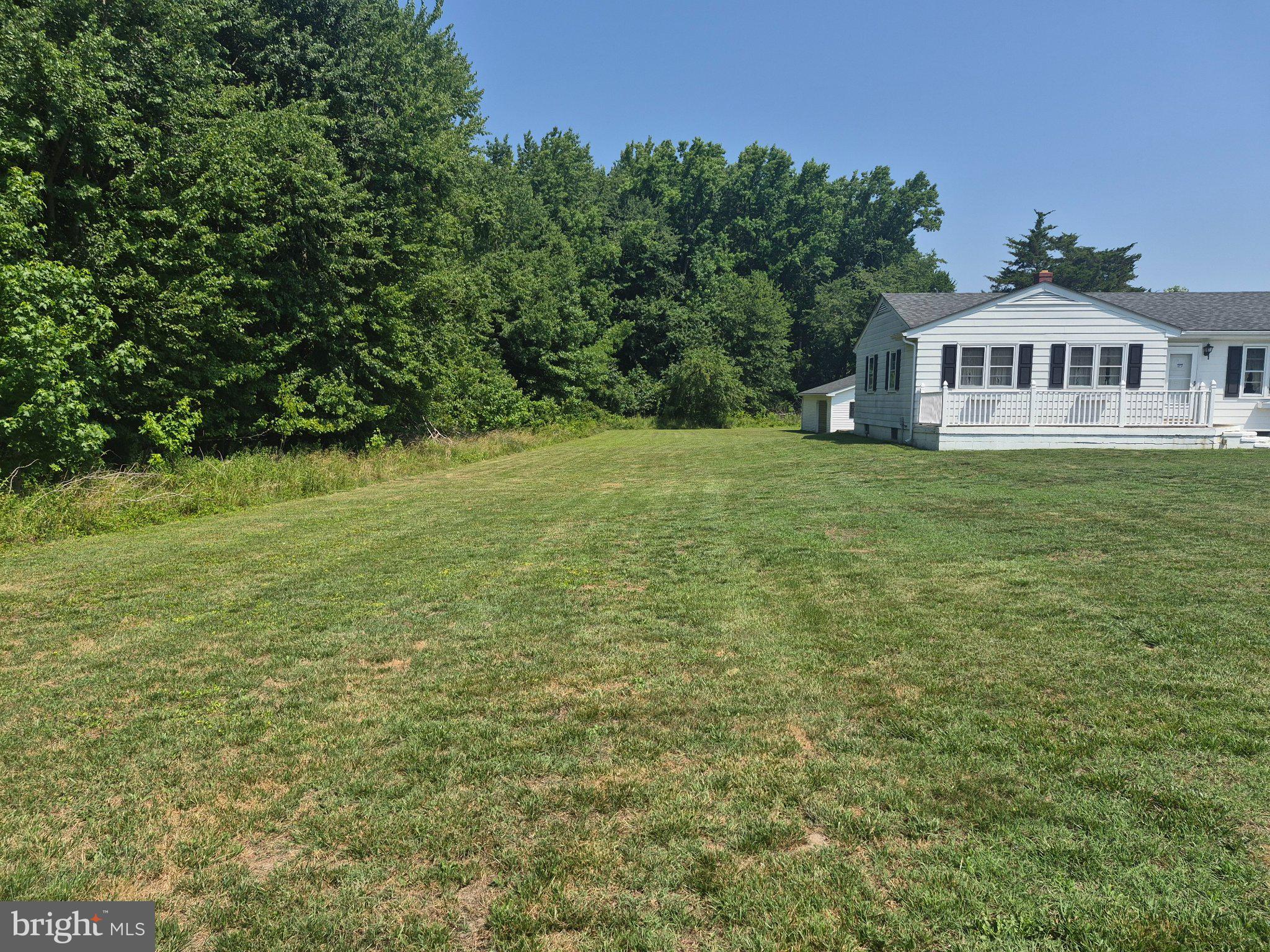 1043 Camp Road Denton, MD 21629 - Photo 15 of 17 Spacious lawn meets serene woods.