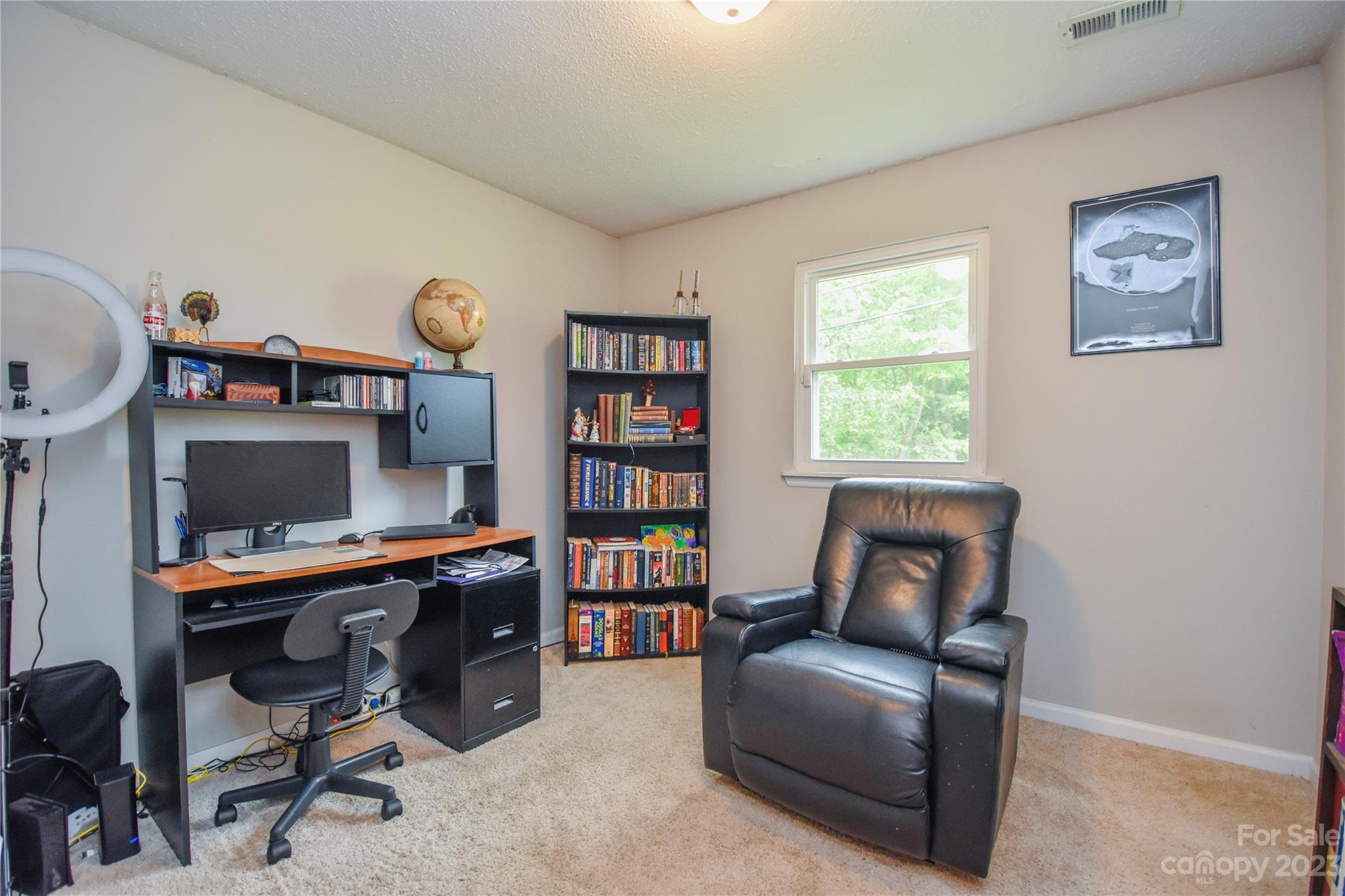 204 Springhill Lane Maiden, NC 28650 - Photo 13 of 20 a work room with furniture a bookshelf and a window