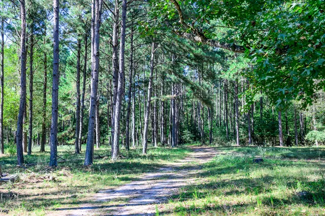 $440,000 | 382 Sawmill Drive, Lovelady, TX 75851