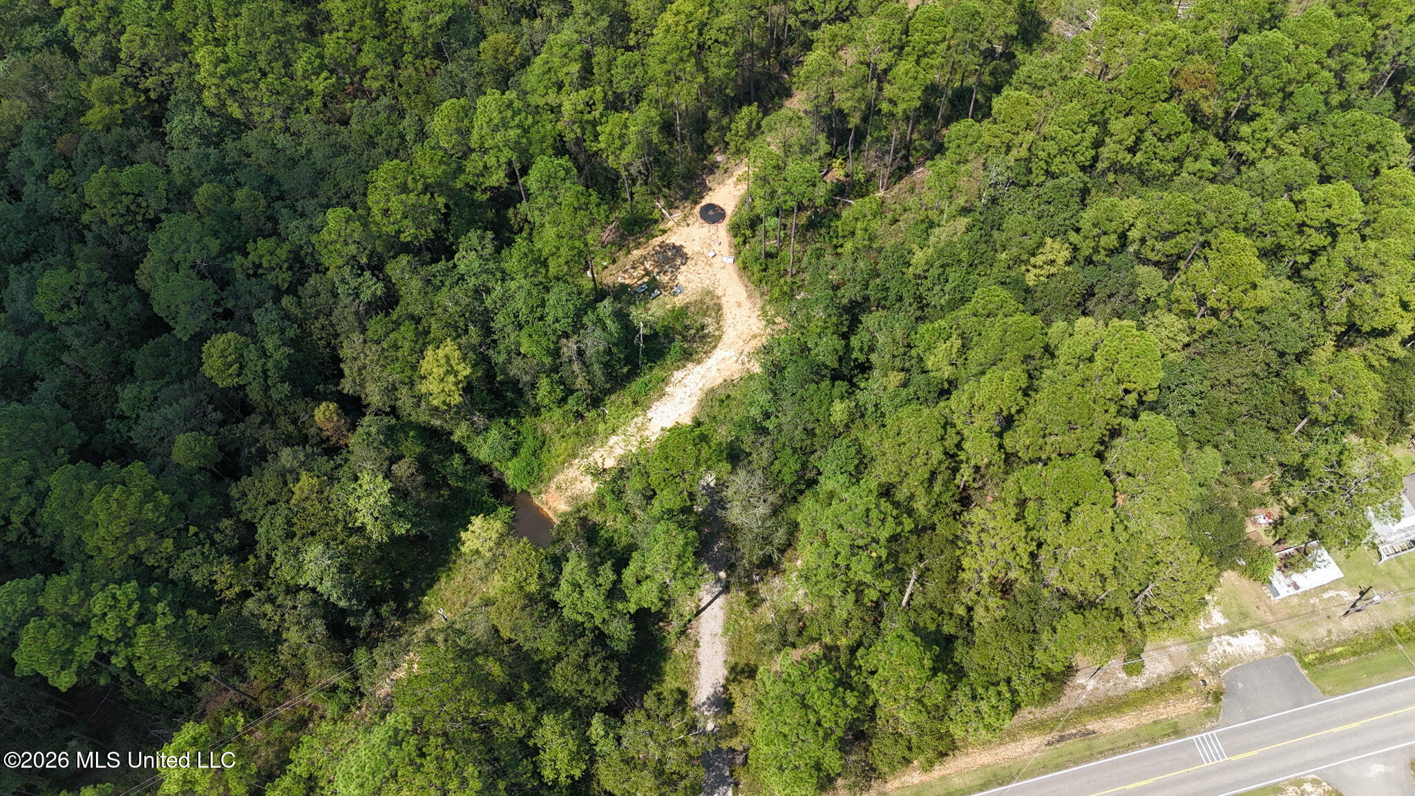 0 Sycamore Road Carriere, MS 39426 - Photo 10 of 13 6-web-or-mls-dji_fly_20260923_125604_066