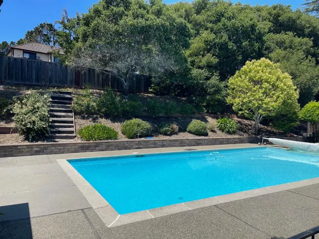 a view of a backyard with plants and outdoor seating