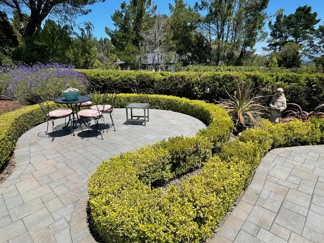 a view of a garden with plants and a bench