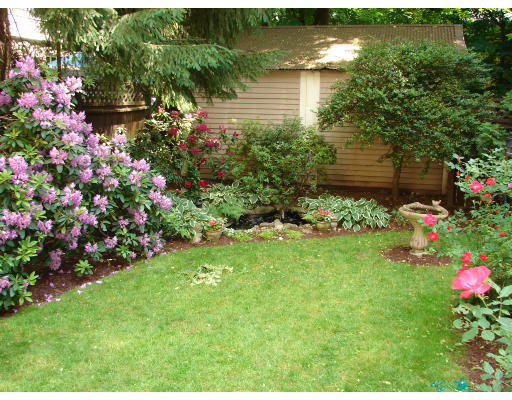 28 Westbourne Road Newton, MA 02459 - Photo 18 of 20 a backyard of a house with lots of green space
