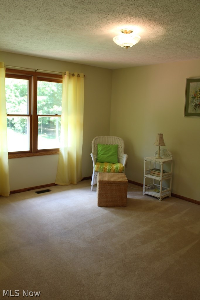 5326 Beach Road Medina, OH 44256 - Photo 13 of 24 Gallery Image 13