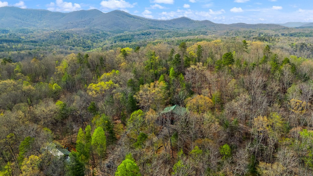 138 Wolf Print Ridge Murphy, NC 28906 - Photo 59 of 60