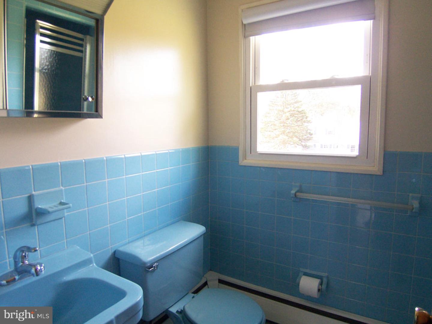 10 Ashlawn Road Malvern, PA 19355 - Photo 15 of 22 Master Bathroom