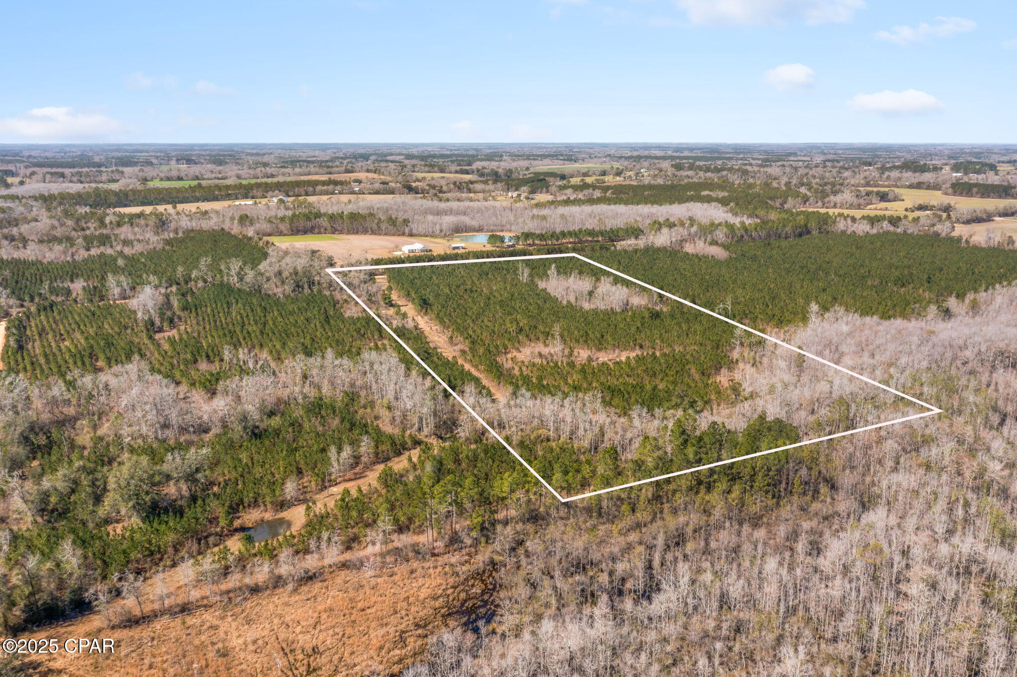 Lot 4 New Prospect Road Chipley, FL 32428 - Photo 5 of 26