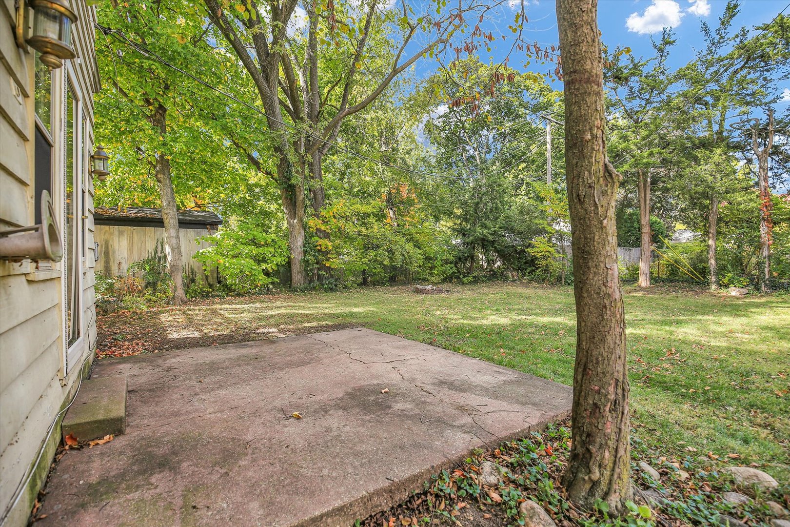 910 West Springfield Avenue Champaign, IL 61821 - Photo 40 of 45 a view of a yard with potted plants