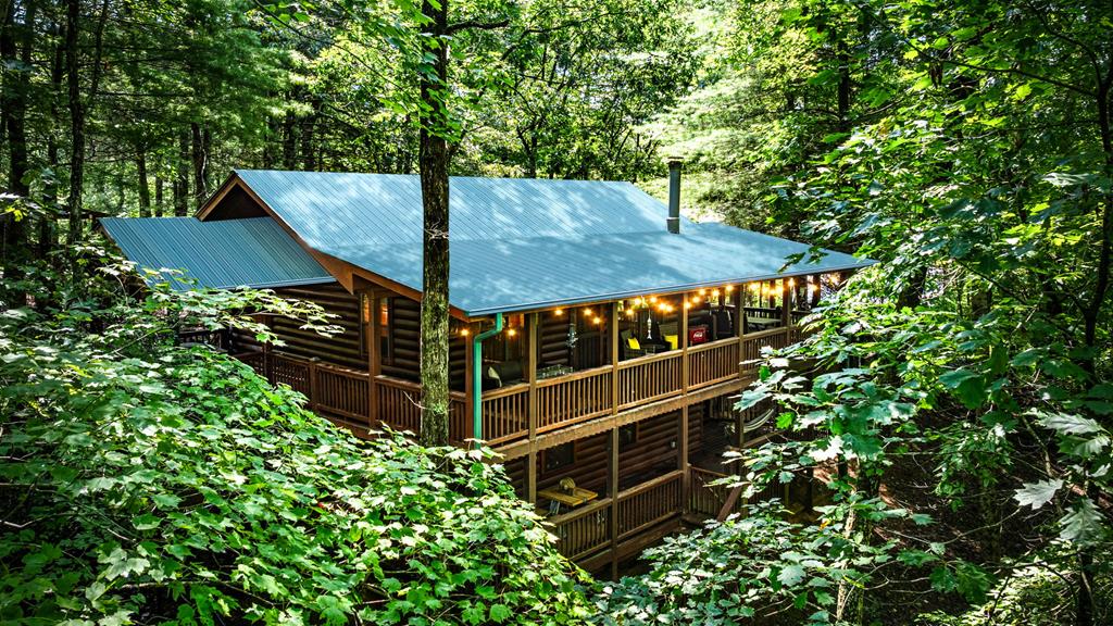 120 Tomahawk Blue Ridge Blue Ridge, GA 30513 - Photo 1 of 56 Main View