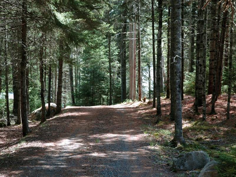 2 Northern Neck Road Mount Desert, ME 04660 - Photo 22 of 32 Photo