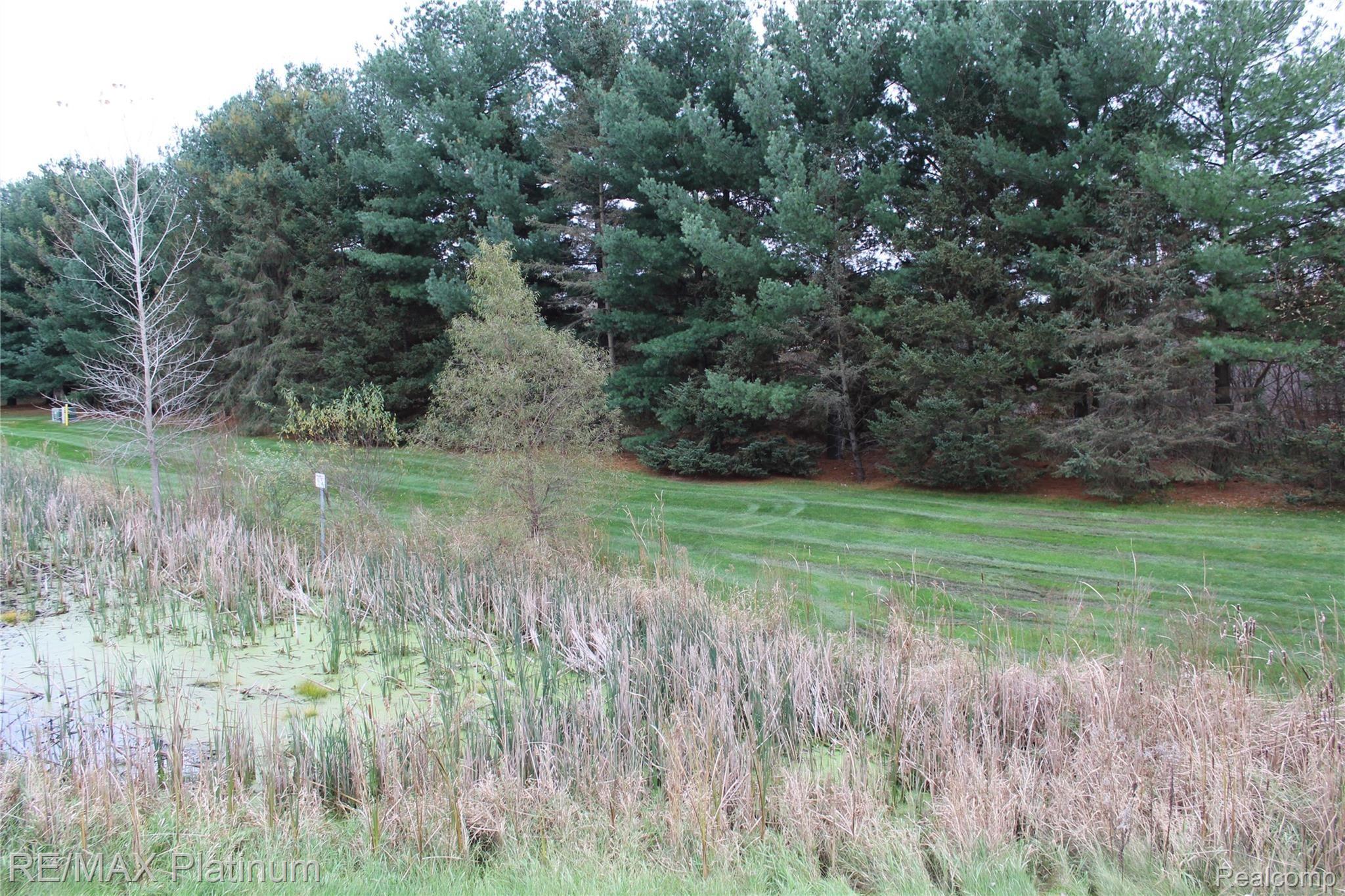89 Sedum Road Howell, MI 48843 - Photo 3 of 27 IMG_2155.JPG