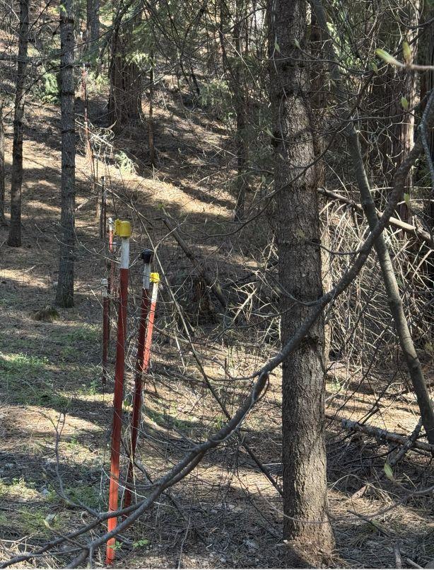 0 Caine Road Alta, CA 95701 - Photo 4 of 10 The fence follows the far side of the parcel. Rectangular in shape, the parcel's dimensions are: 171' front & back, 264' sides.