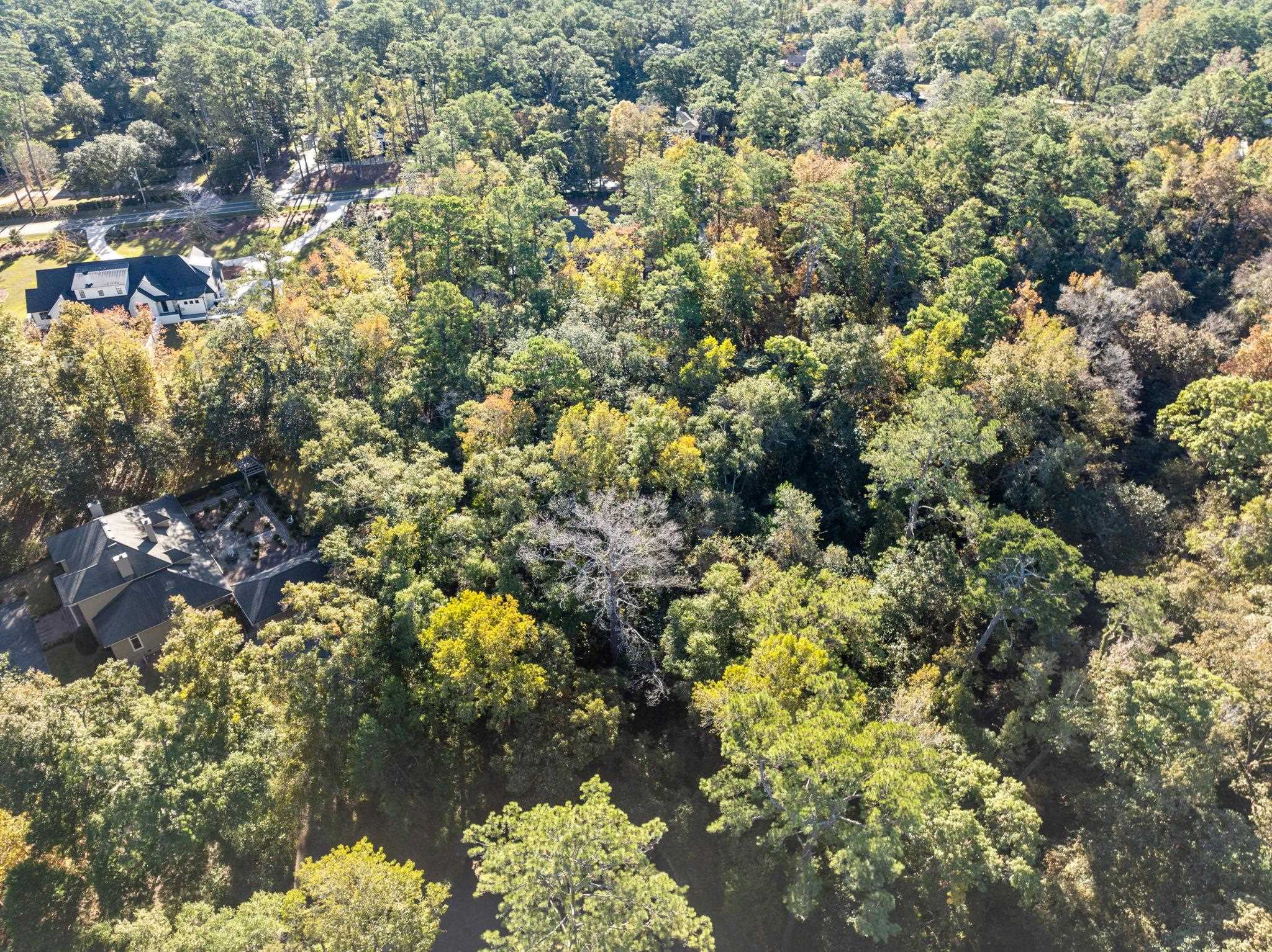 Live Oak Plantation Road Tallahassee, FL 32312 - Photo 3 of 14