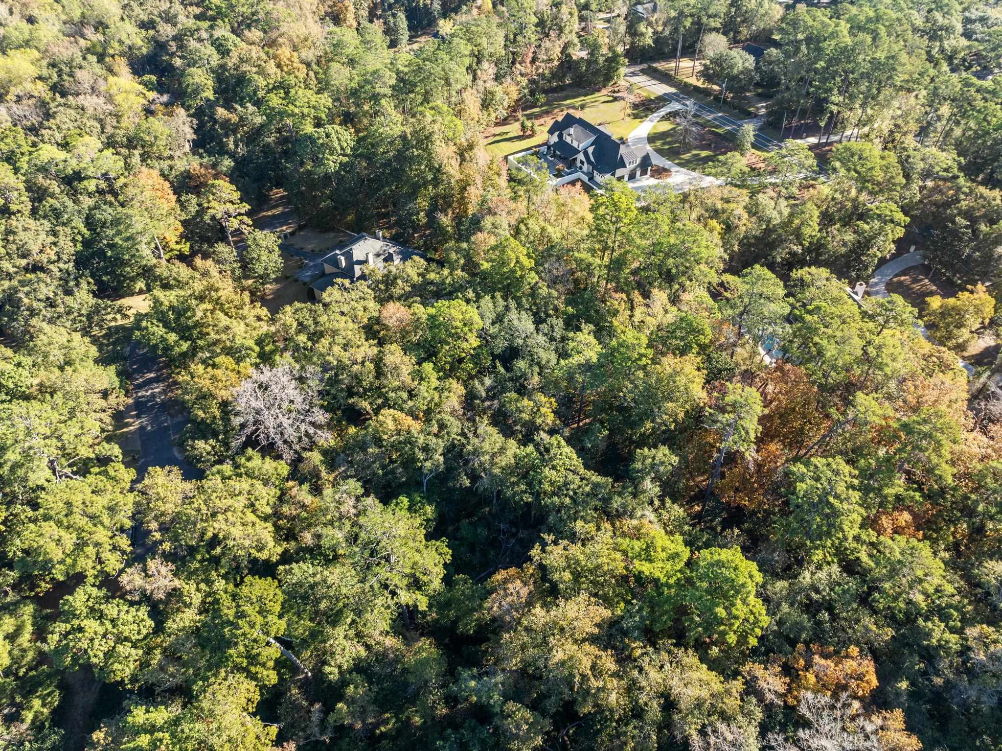 Live Oak Plantation Road Tallahassee, FL 32312 - Photo 5 of 14