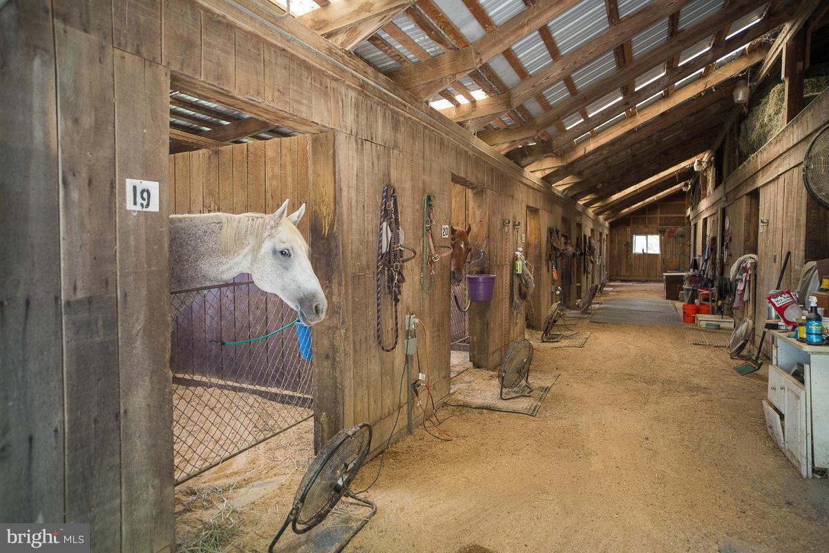 35469 Millville Road Middleburg, VA 20117 - Photo 21 of 30 Shed Row Barn