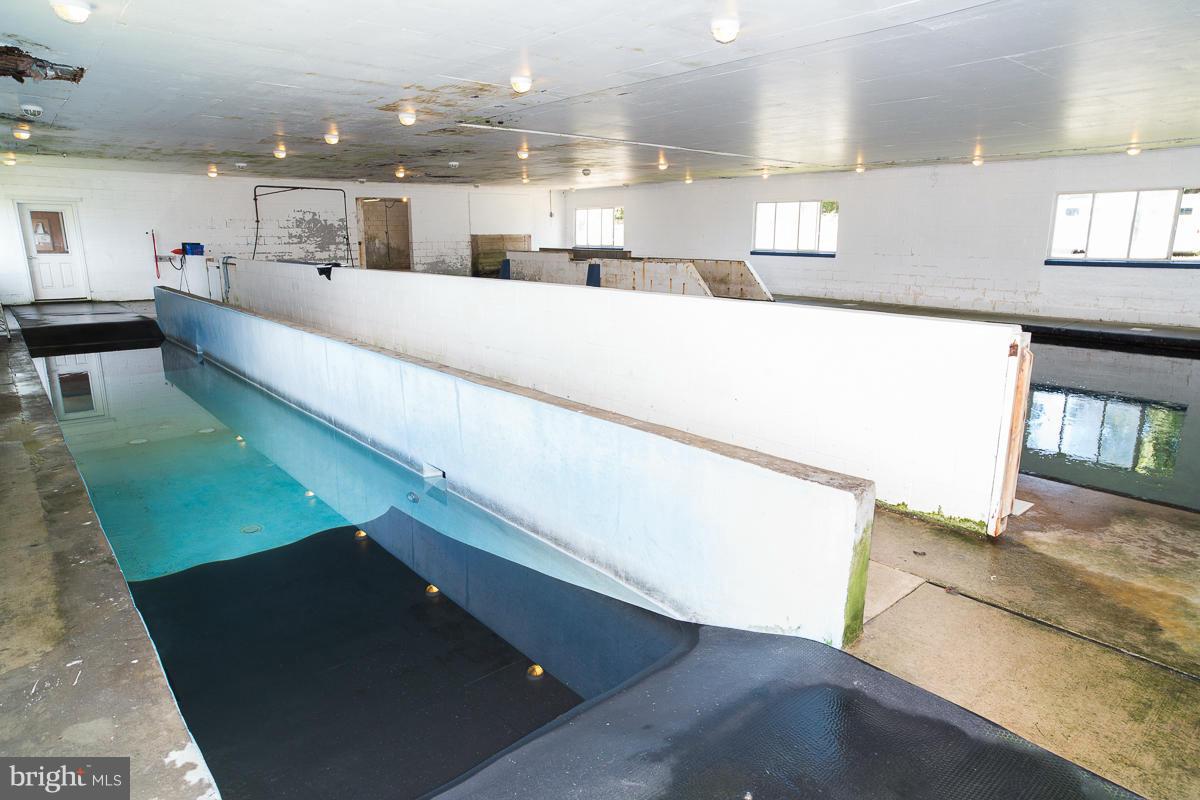 35469 Millville Road Middleburg, VA 20117 - Photo 24 of 30 Swim Center