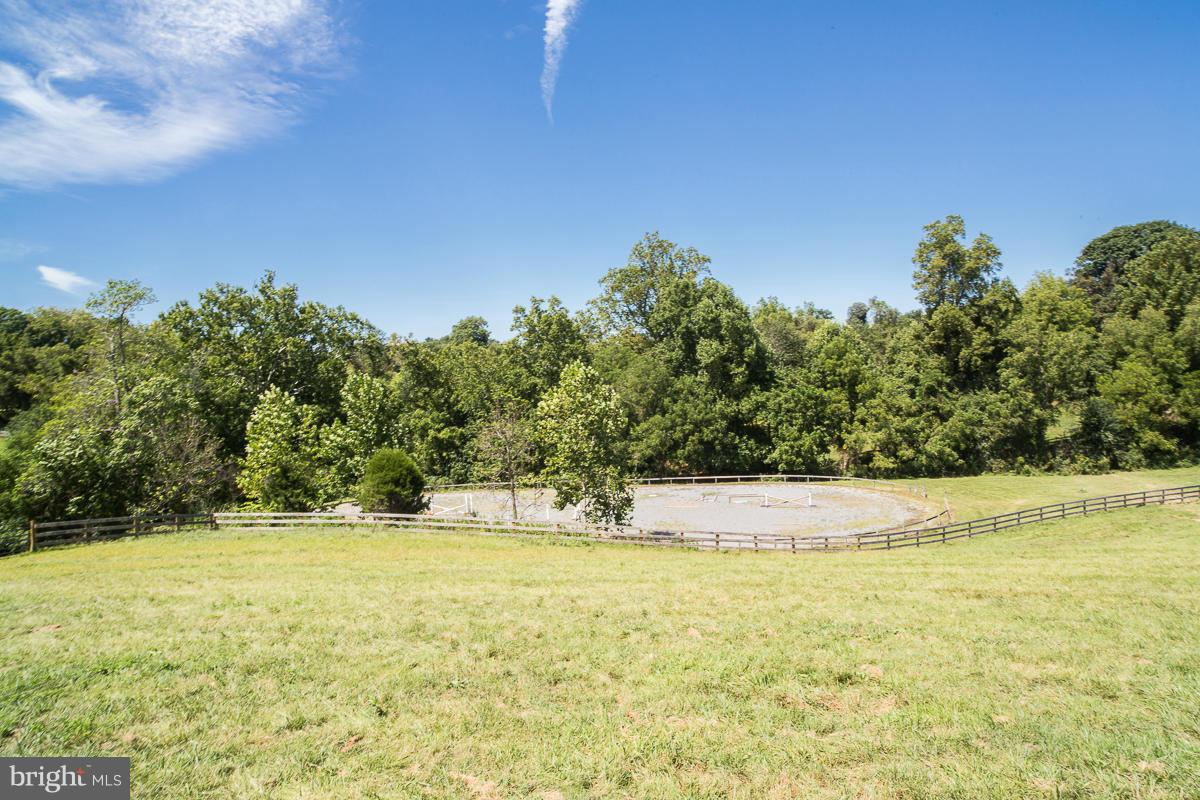 35469 Millville Road Middleburg, VA 20117 - Photo 29 of 30 Riding Ring