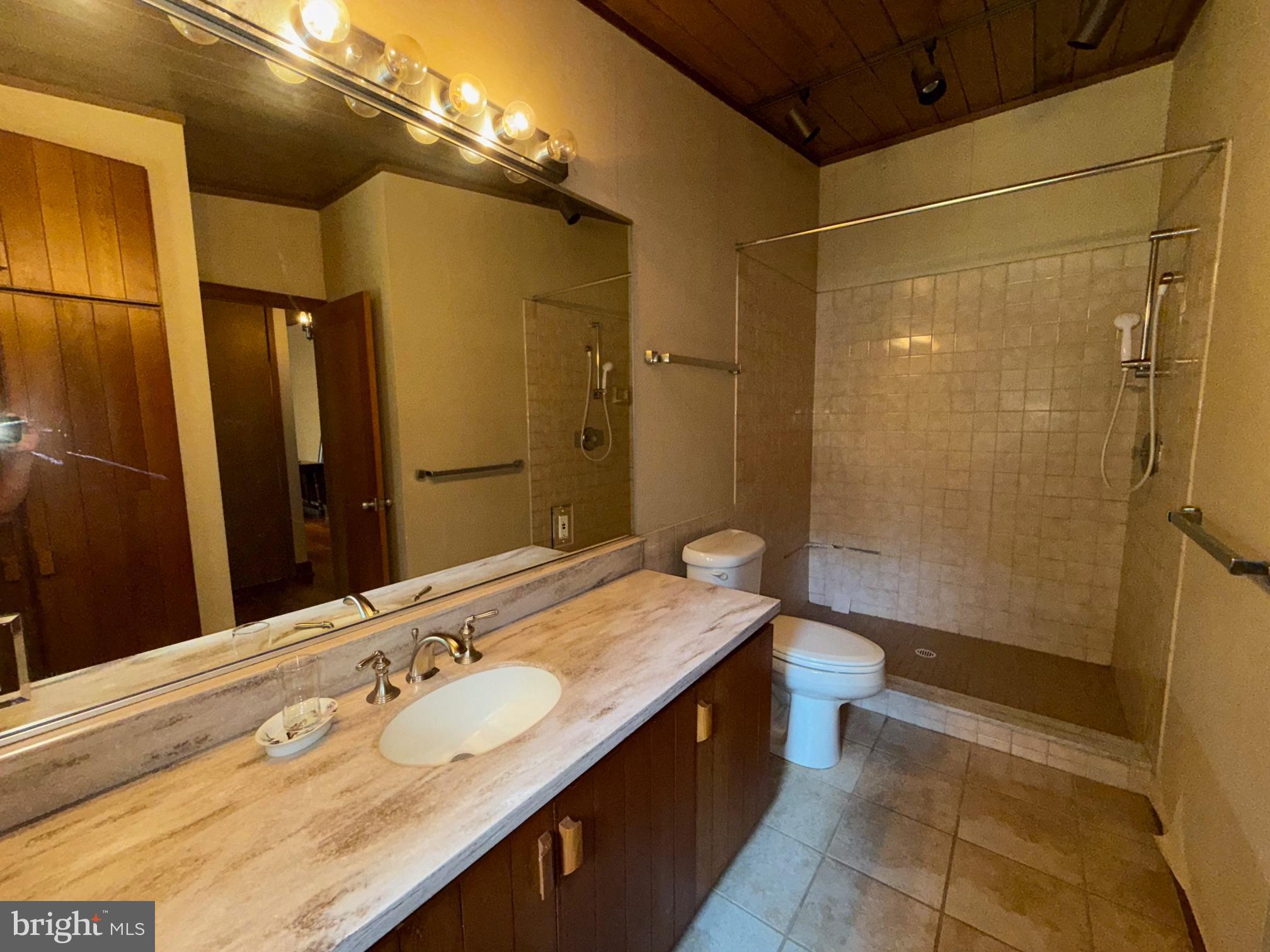 108 South Spring Valley Road Wilmington, DE 19807 - Photo 55 of 84 a bathroom with a granite countertop sink a toilet and shower