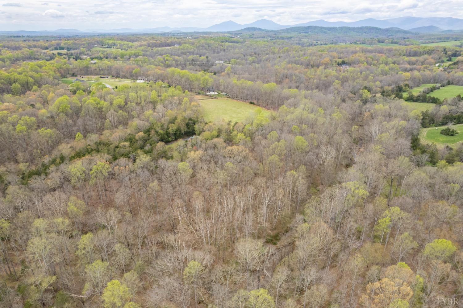 1140 Mays Farm Road Forest, VA 24551 - Photo 69 of 72 Gallery Image 69