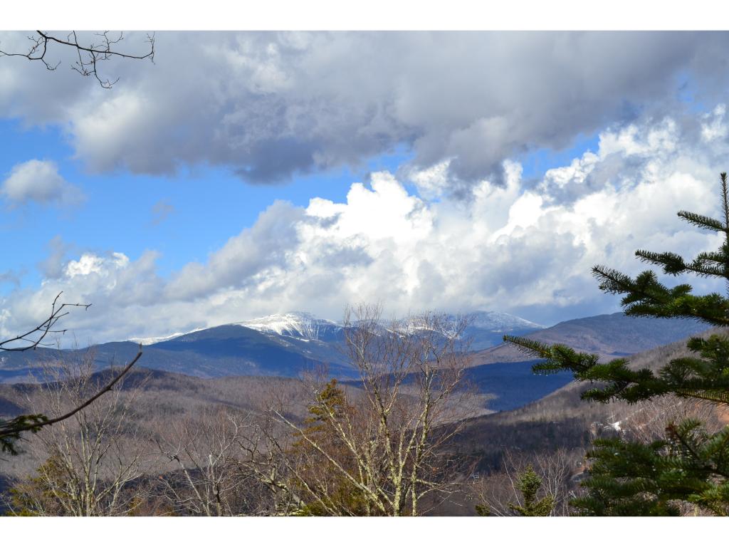 Lot 110 North Hampshire Ridge Road Jackson, NH 03846 - Photo 3 of 4