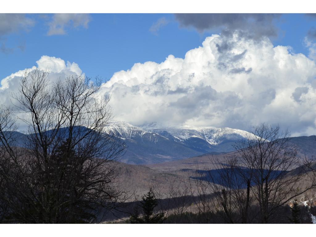 Lot 110 North Hampshire Ridge Road Jackson, NH 03846 - Photo 4 of 4