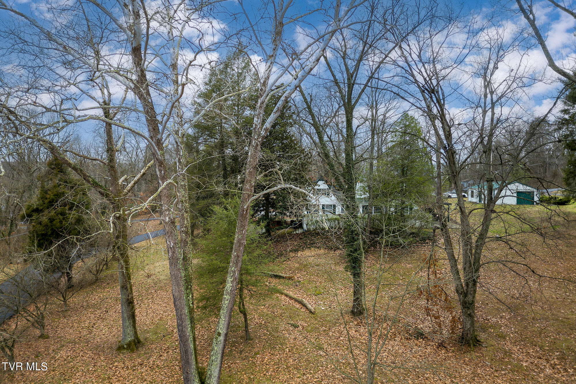 2961 Cliffside Road Kingsport, TN 37664 - Photo 45 of 50 DJI_0325-DNG copy