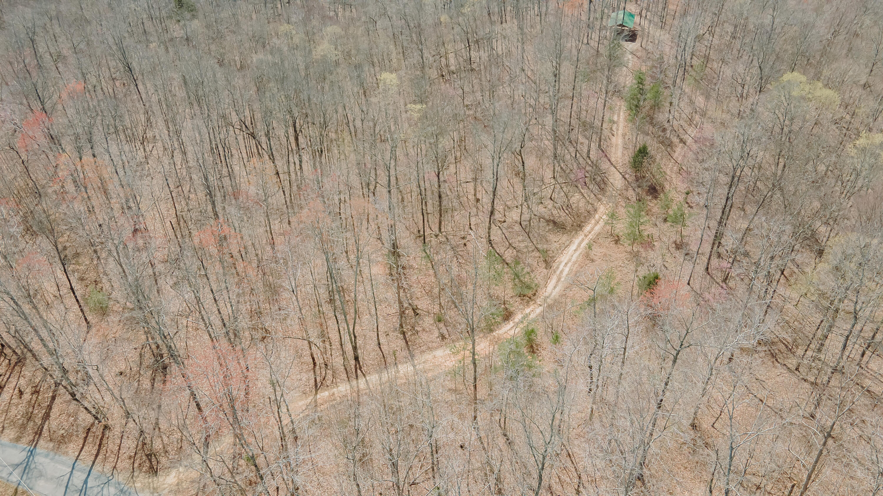 7000 Cave Springs Road Nancy, KY 42544 - Photo 39 of 69 Wolf Creek-34