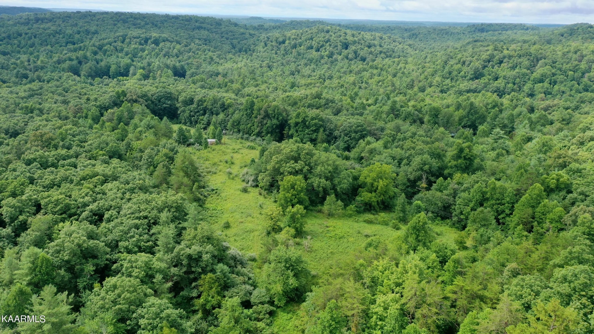 452 Nydeck Road Robbins, TN 37852 - Photo 1 of 41