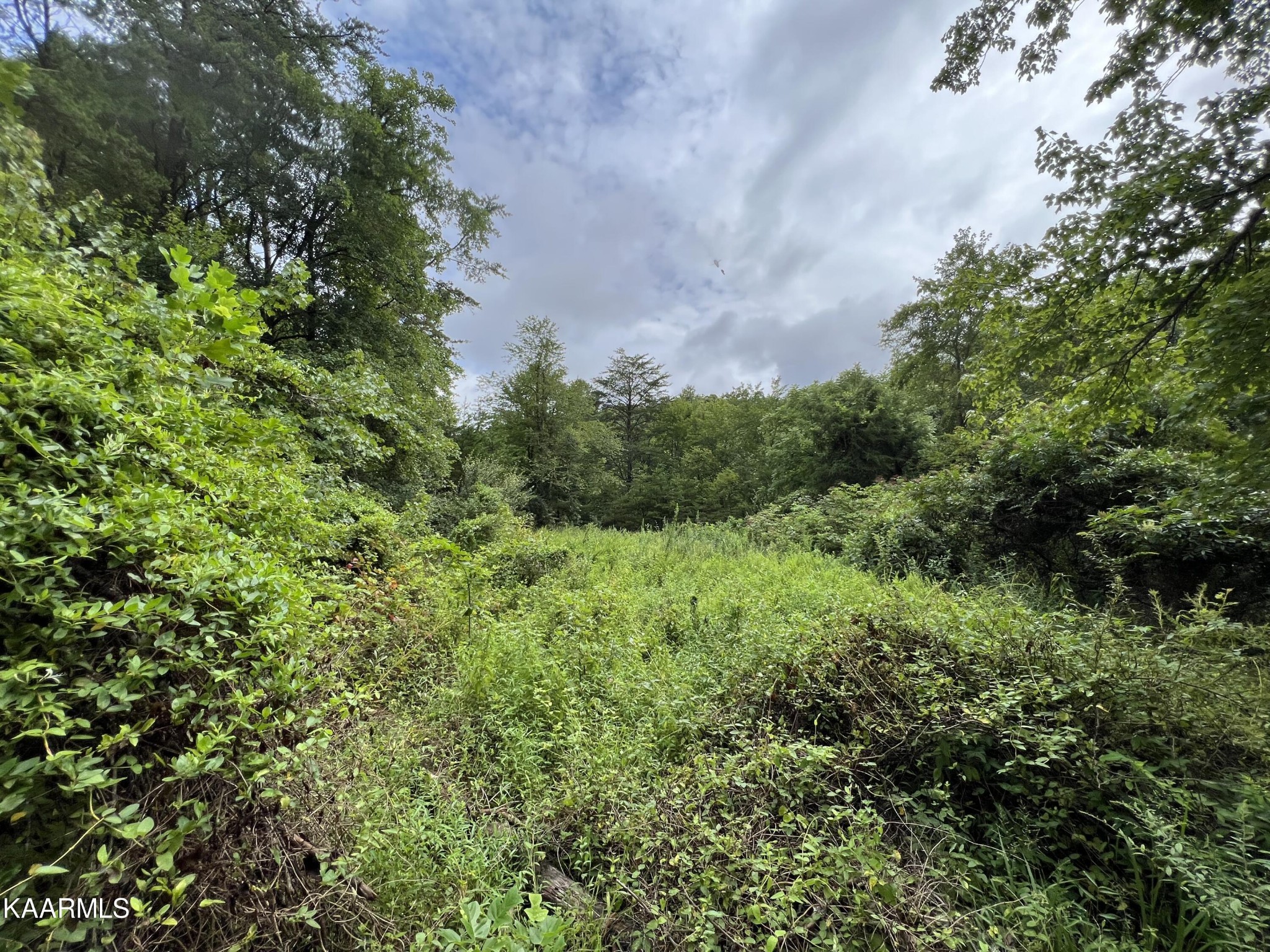 452 Nydeck Road Robbins, TN 37852 - Photo 12 of 41