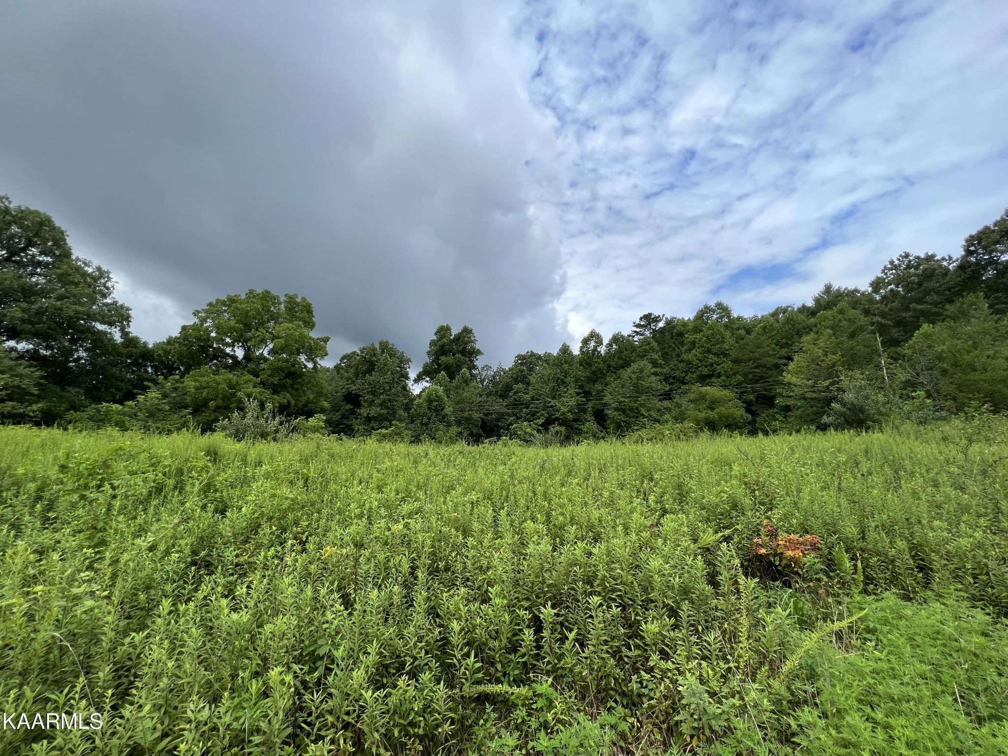 452 Nydeck Road Robbins, TN 37852 - Photo 15 of 41