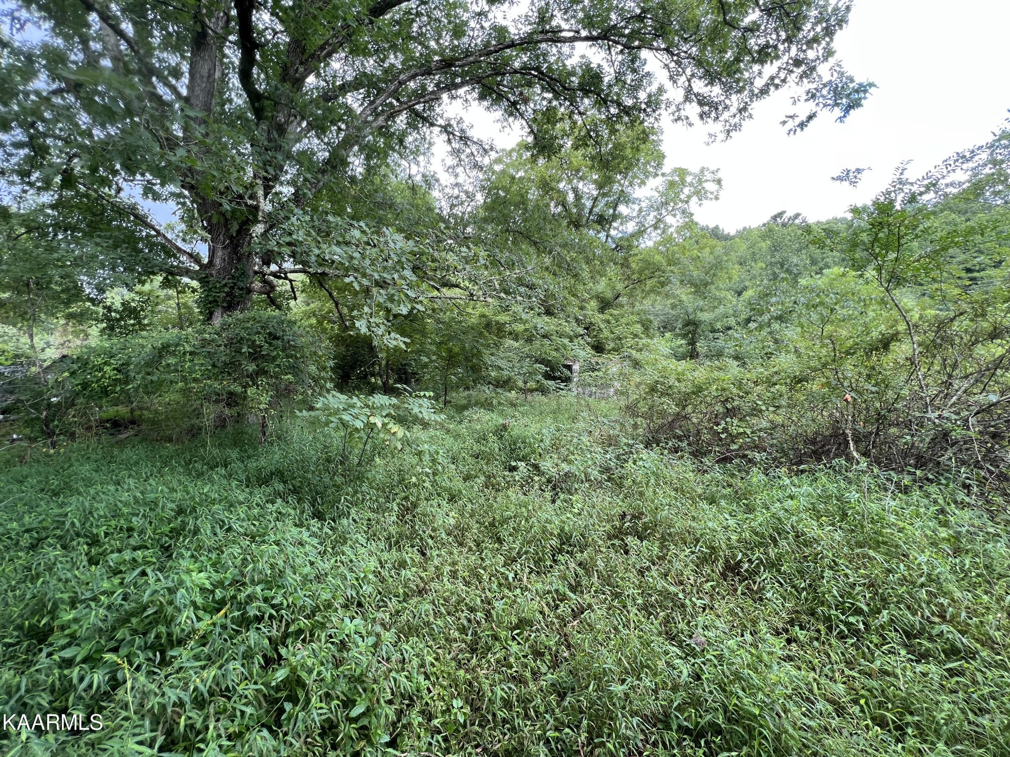 452 Nydeck Road Robbins, TN 37852 - Photo 17 of 41