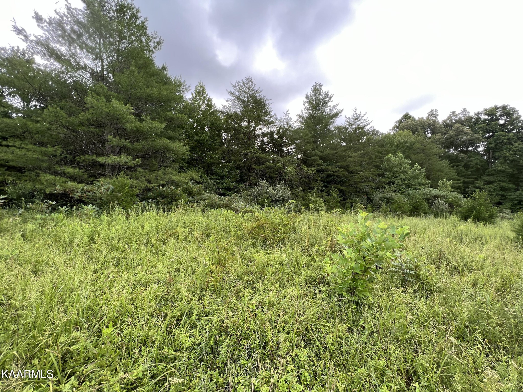 452 Nydeck Road Robbins, TN 37852 - Photo 25 of 41