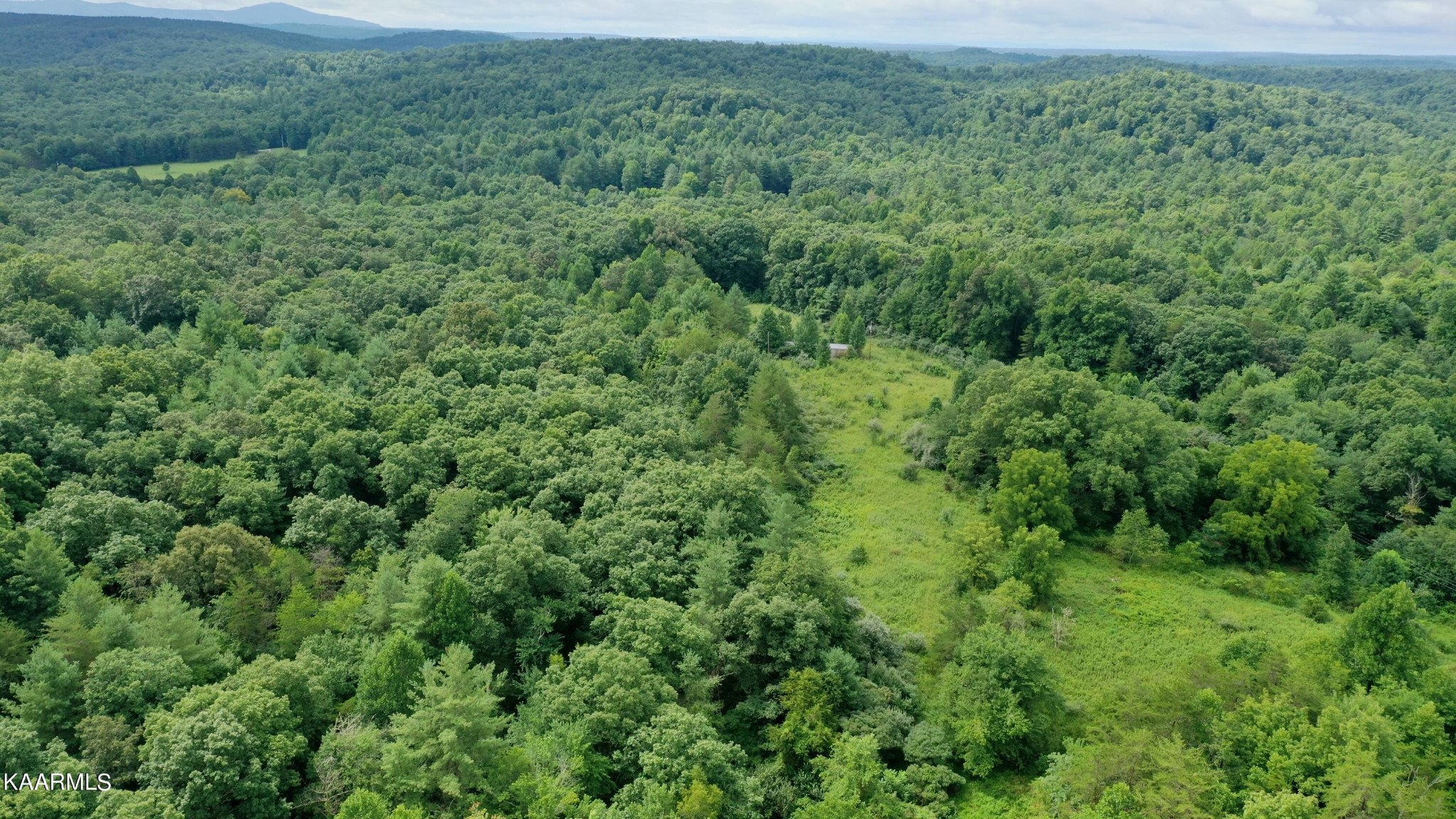 452 Nydeck Road Robbins, TN 37852 - Photo 3 of 41