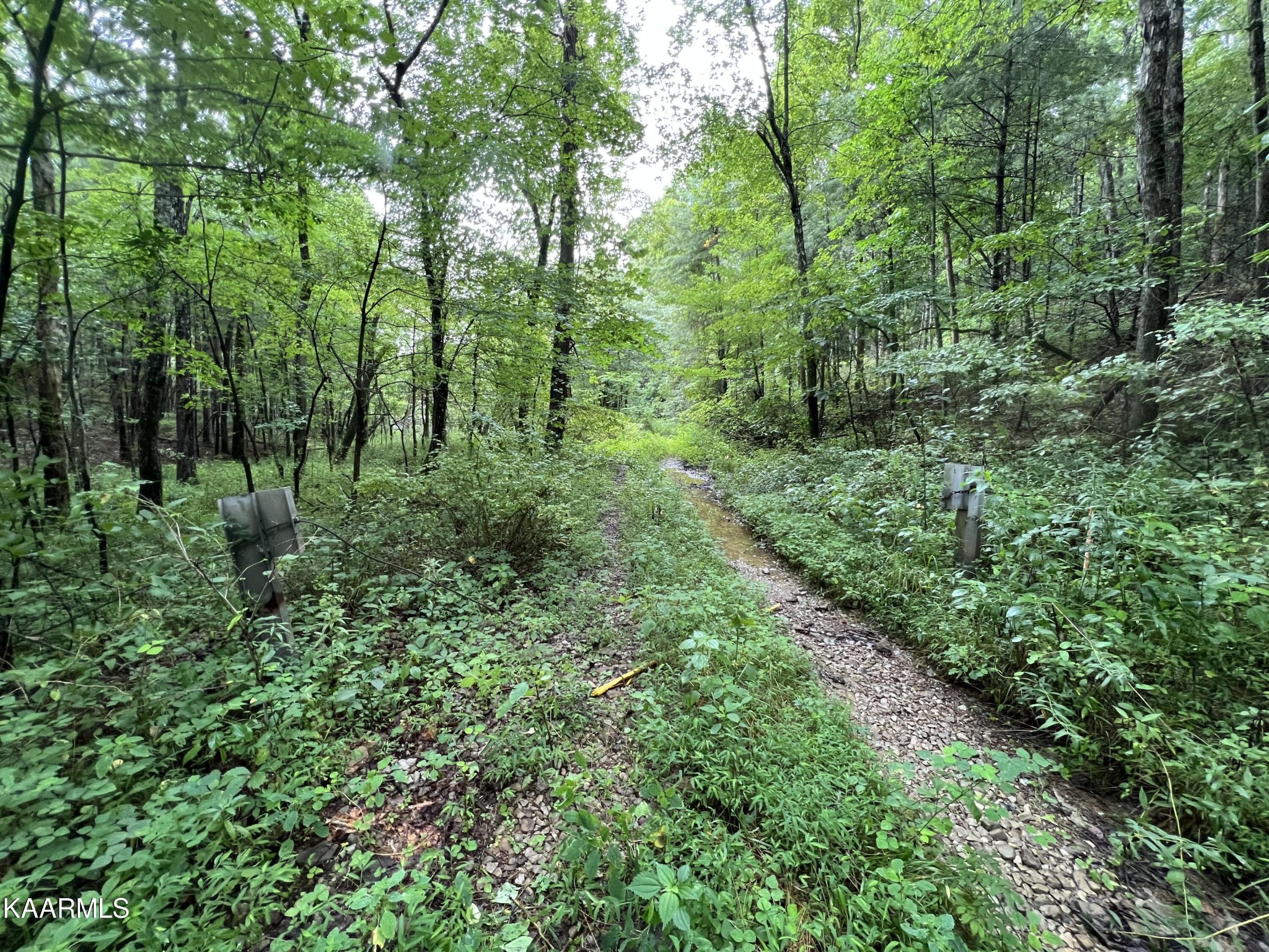 452 Nydeck Road Robbins, TN 37852 - Photo 40 of 41