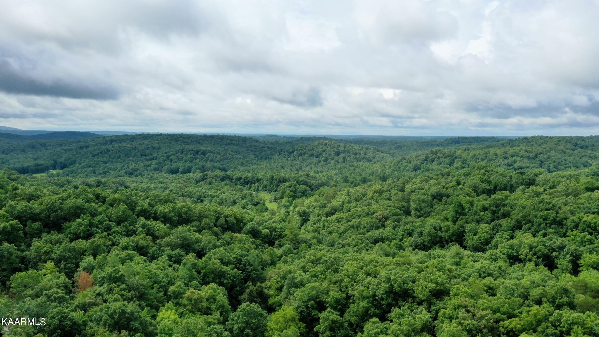 452 Nydeck Road Robbins, TN 37852 - Photo 4 of 41