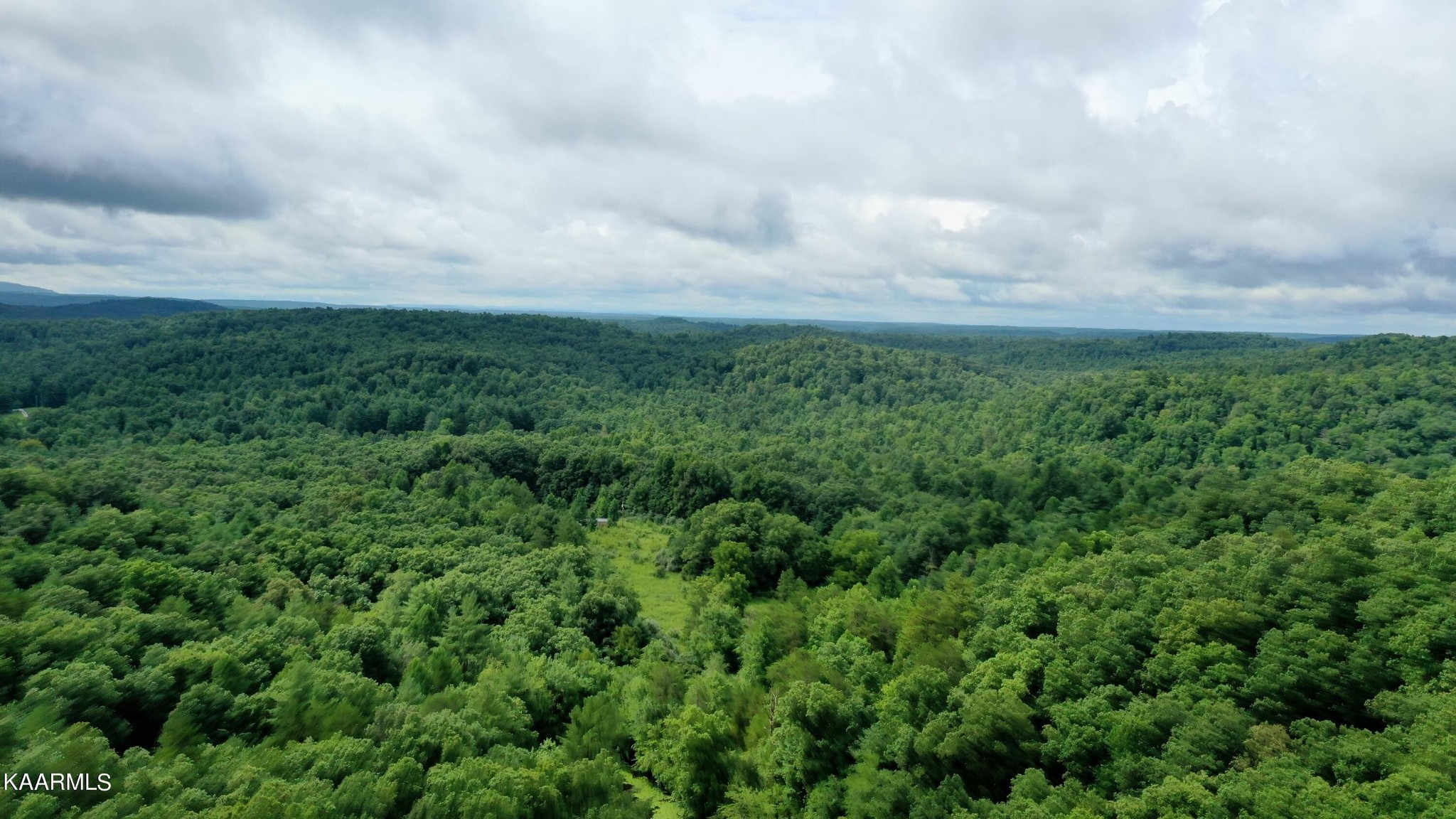 452 Nydeck Road Robbins, TN 37852 - Photo 6 of 41