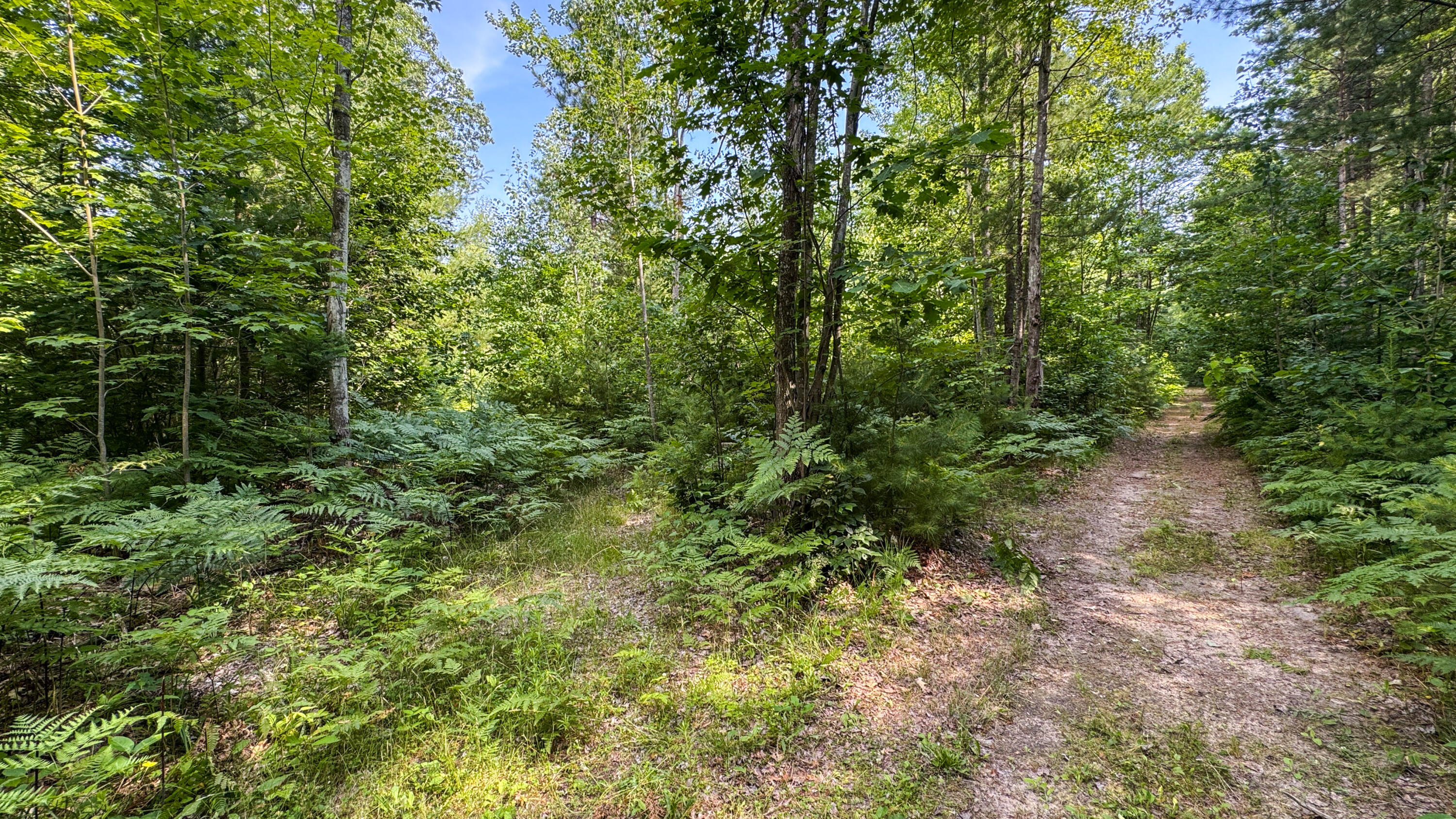 180 East Sanborn Road Lake City, MI 49651 - Photo 32 of 36 Greg Bosscher (34)