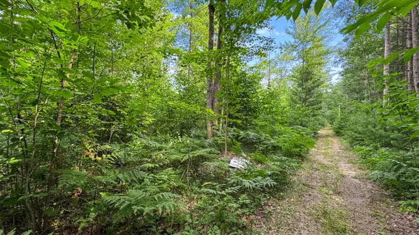 $279,900 | 180 East Sanborn Road, Lake City, MI 49651