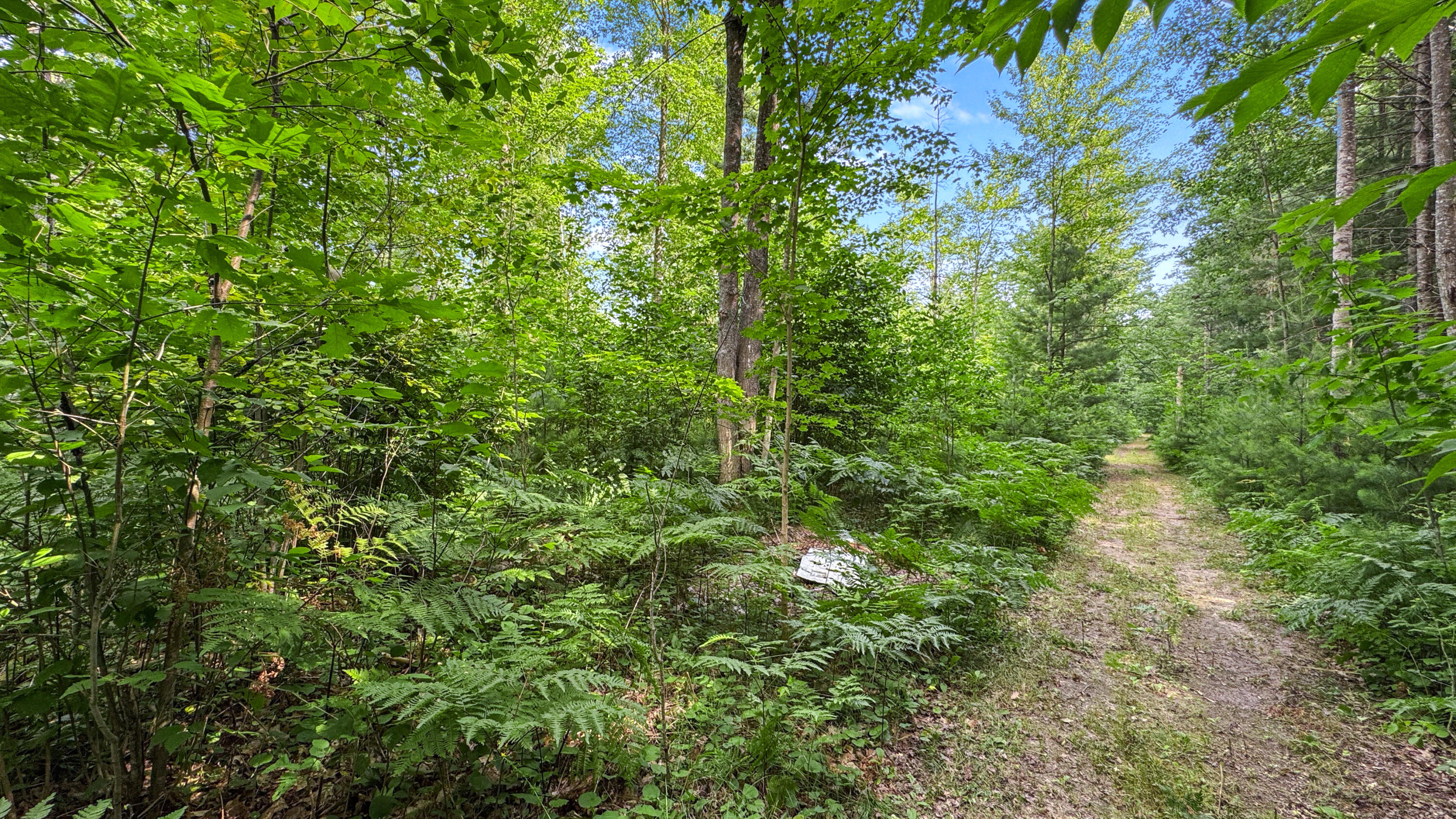 180 East Sanborn Road Lake City, MI 49651 - Photo 33 of 36 Greg Bosscher (35)