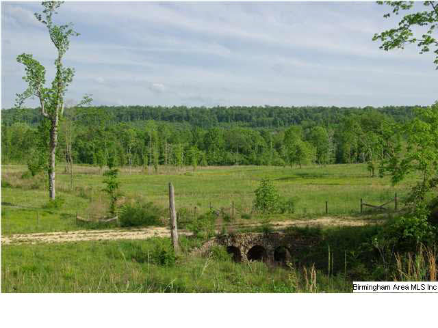 Shoal Creek Road, Unit 56 Ashville, AL 35953 - Photo 21 of 21